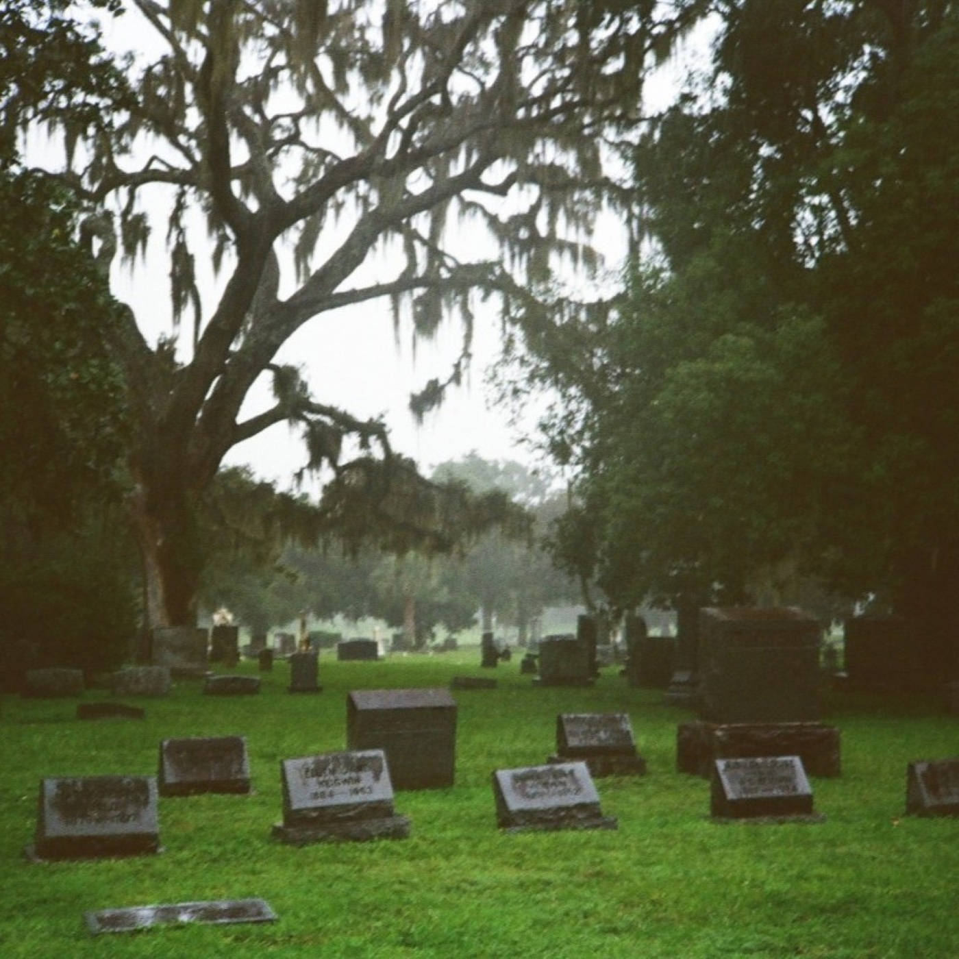 Scabies Curse — Demo